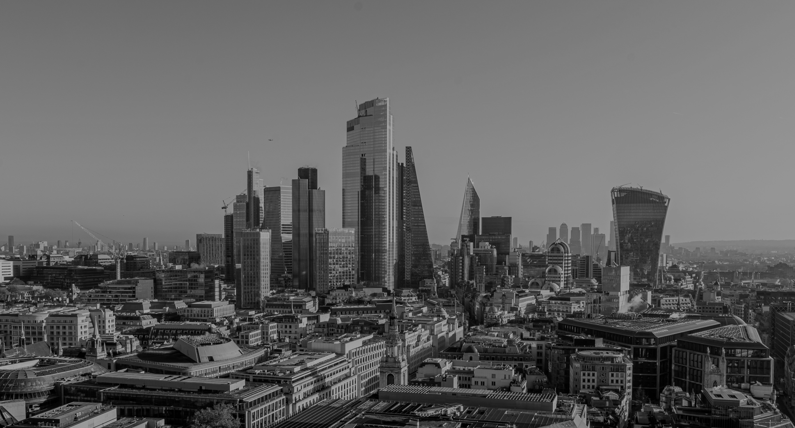 Broadfield Bolsters Litigation Team with Senior Appointment