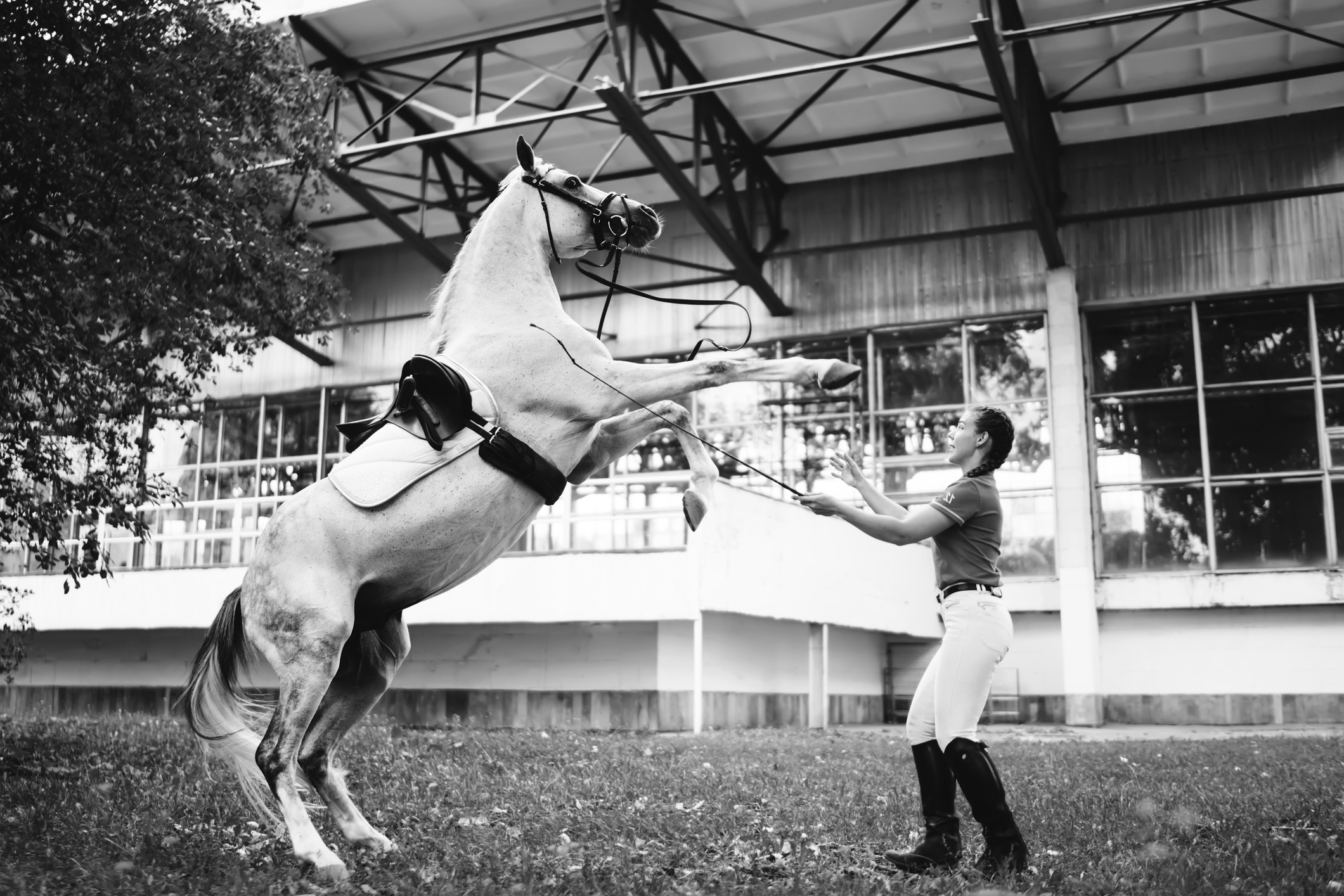 New UK Consumer Legislation: Will it Help Equestrians?